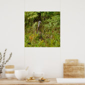 Henne mit Küken in der Türkei Poster (Küche)