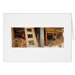 Henne-u. Katzen-Verschachtelung