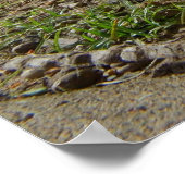 Henne und Hahn Poster (Ecke)