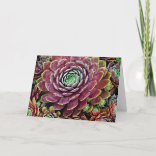 Henne und Küken Karte