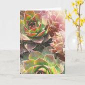 Henne-und Küken-Pflanzen Karte (Gelbe Blume)