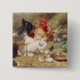 Hennen, die mit ihren Hühnern roosting sind Button