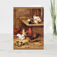 Hennen für Hasen von Kaninchen