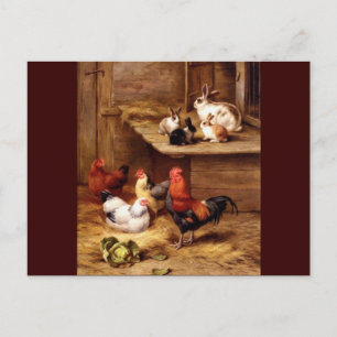 Hennen für Hasen von Kaninchen Postkarte