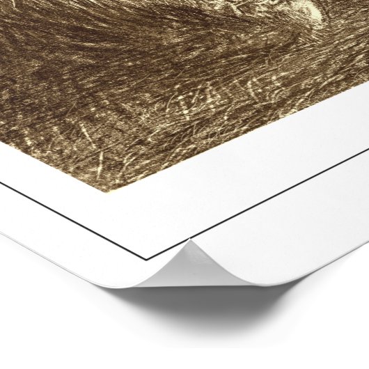 Henri Fantin-Latour Zedign Art Poster #388 (Ecke)