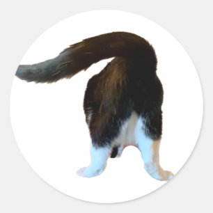 Henri Hintern Sticker