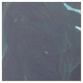 Henri Rousseau - Der Traum / Le Reve Stoff (Nahaufnahme)