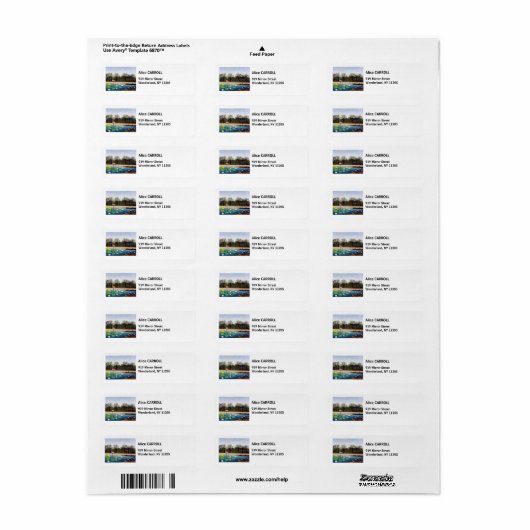 Henri Rousseau - Die Flamingos (Vorne)