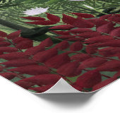 Henri Rousseau - Tropischer Wald mit Affen Poster (Ecke)