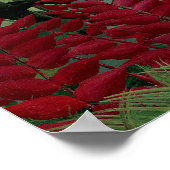 Henri Rousseau - Tropischer Wald mit Affen Poster (Ecke)