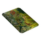 Henri Rousseau - überrascht! Magnet (Rechte Seite)