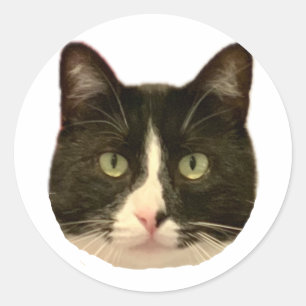 Henri Sticker