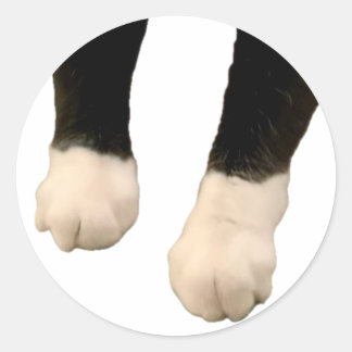 Henri Sticker - Füße!