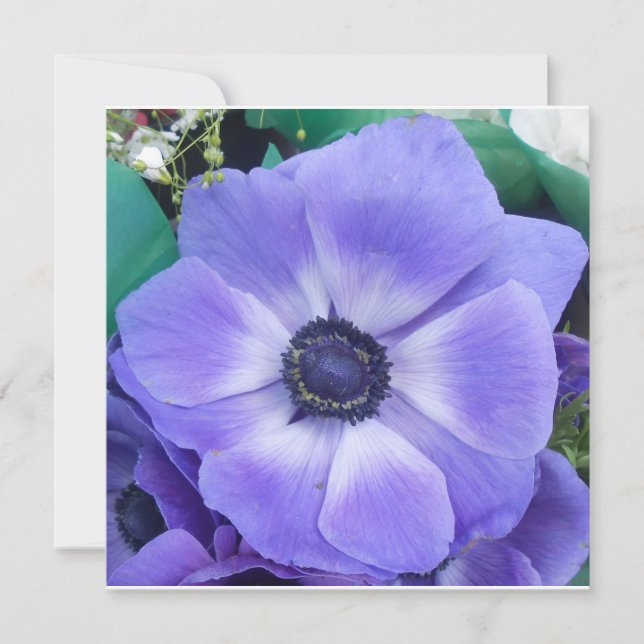 Henrietta (Vorderseite)