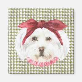 Henrietta, der Havanese Magnet