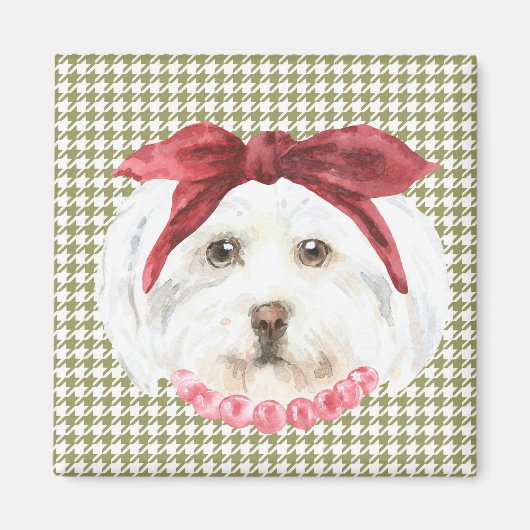 Henrietta, der Havanese Magnet (Vorne)