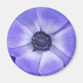 Henrietta Magnet (Vorne)