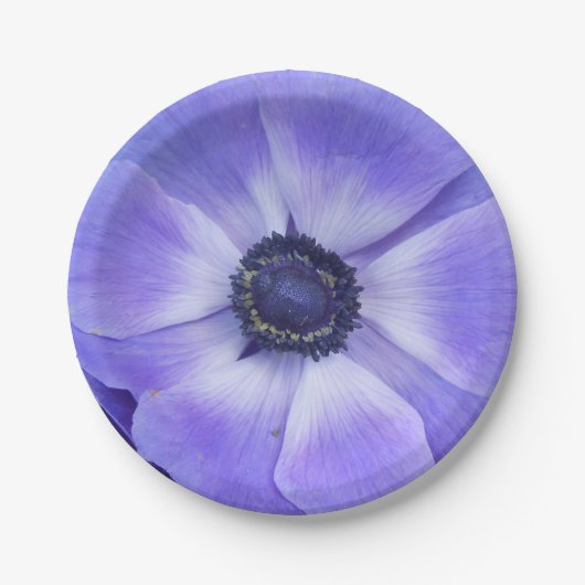 Henrietta Pappteller (Vorderseite)