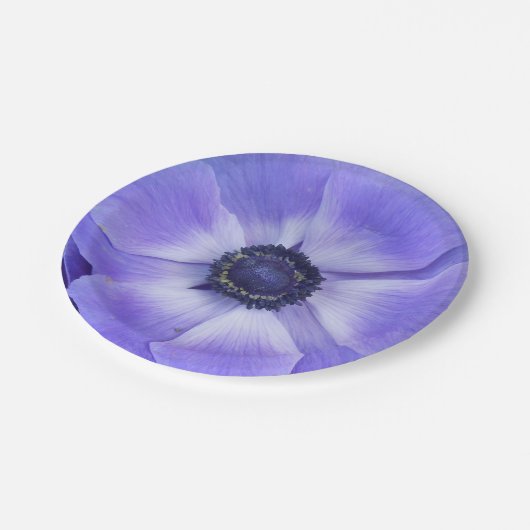 Henrietta Pappteller (Schrägansicht)