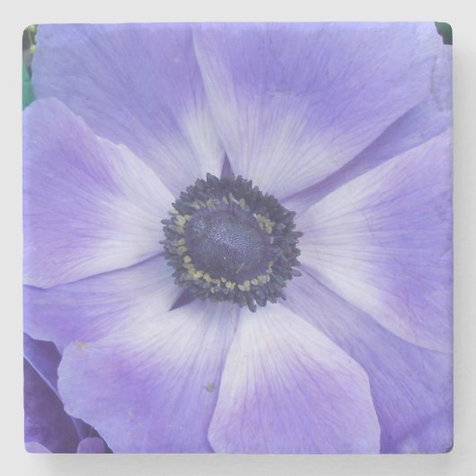 Henrietta Steinuntersetzer (Vorderseite)