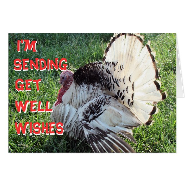 Henry8833-passen Sie jede Gelegenheit an (Vorderseite (Horizontal))