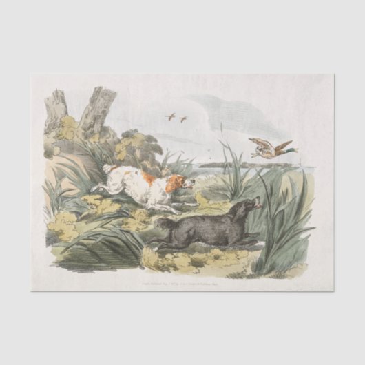 Henry Alken | Jagdhunde auf der Jagd Seidenpapier (Vorderseite)