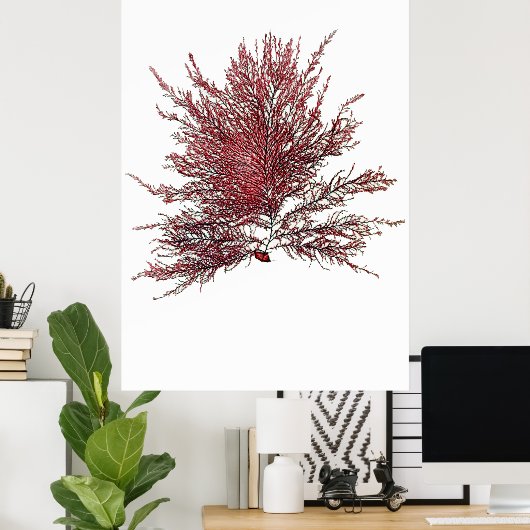 Henry Bradburys gepresste Algen achtzehn Poster (Heimbüro)