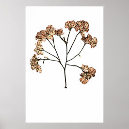 Henry Bradburys gepresste Algen Poster