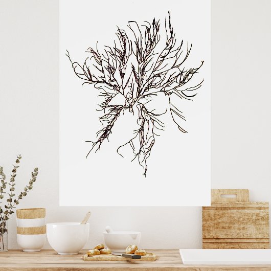 Henry Bradburys gepresste Algen-Sechstel von zehn Poster (Küche)