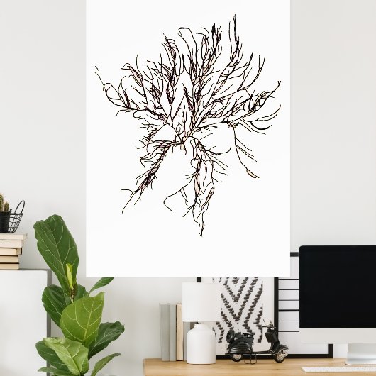 Henry Bradburys gepresste Algen-Sechstel von zehn Poster (Heimbüro)