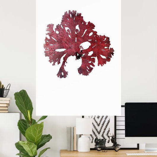 Henry Bradburys gepresste Algen siebenundzwanzig Poster (Heimbüro)