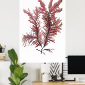 Henry Bradburys gepresste Algen zuerst 10 Poster (Heimbüro)