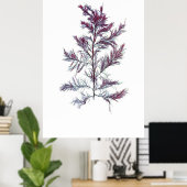 Henry Bradburys gepresste Algenfünfte von zehn Jah Poster (Heimbüro)