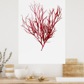 Henry Bradburys verdichtete Neuntel der Algen Poster (Küche)