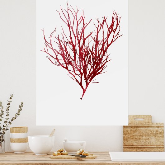 Henry Bradburys verdichtete Neuntel der Algen Poster (Küche)