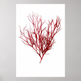 Henry Bradburys verdichtete Neuntel der Algen Poster