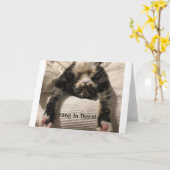 Henry Cat erzielt bald gute Ermutigung oder Beilei Karte (Gelbe Blume)