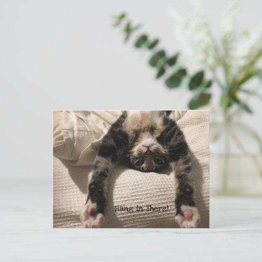 Henry Cat Get Well bald ermutigen oder Beileid Postkarte (Stehend Vorderseite)