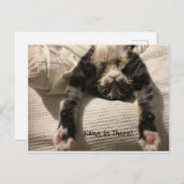 Henry Cat Get Well bald ermutigen oder Beileid Postkarte (Vorne/Hinten)