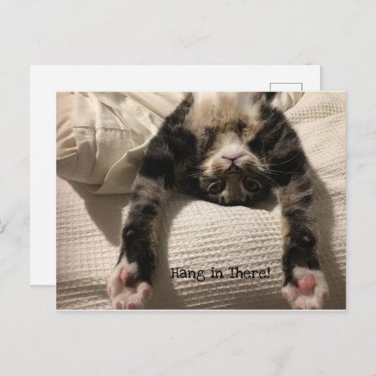 Henry Cat Get Well bald ermutigen oder Beileid Postkarte (Vorne/Hinten)