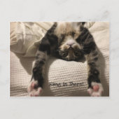 Henry Cat Get Well bald ermutigen oder Beileid Postkarte (Vorderseite)