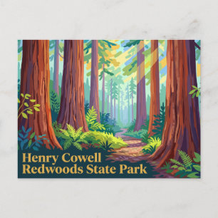 Henry Cowell Redwoods State Park Kalifornien Postkarte