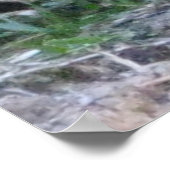 Henry David Thoreau ANIMAL REGHTS Zitat Poster (Ecke)