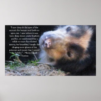 Henry David Thoreau ANIMAL REGHTS Zitat Poster