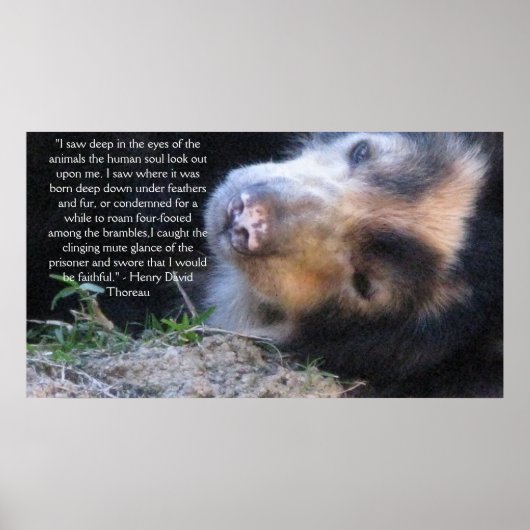Henry David Thoreau ANIMAL REGHTS Zitat Poster (Vorne)