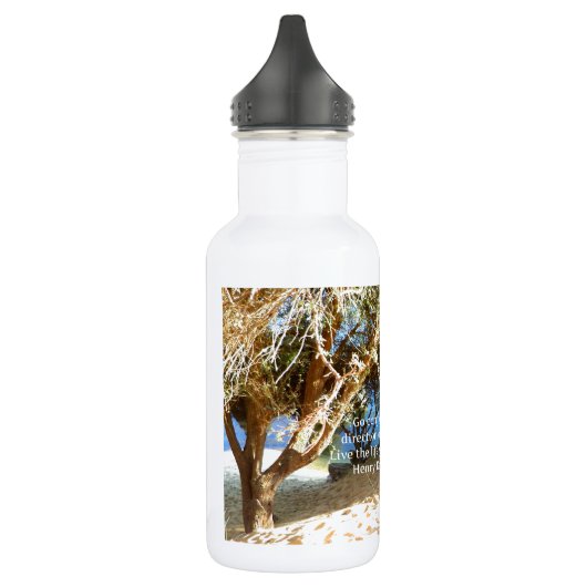 Henry David Thoreau Motivierend Dream Quotation Edelstahlflasche (Links)