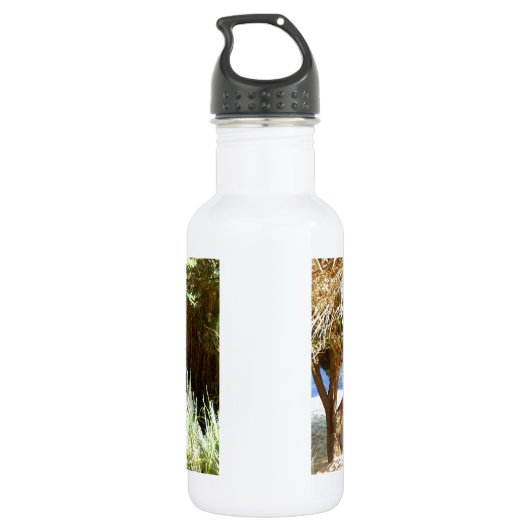 Henry David Thoreau Motivierend Dream Quotation Edelstahlflasche (Rückseite)