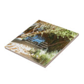 Henry David Thoreau Motivierend Dream Quotation Fliese (Seite)