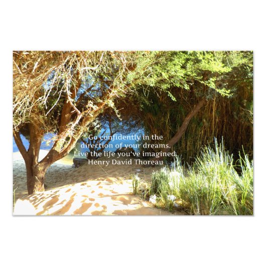 Henry David Thoreau Motivierend Dream Quotation Fotodruck (Vorne)