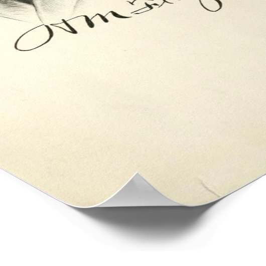 Henry Flagler Poster (Ecke)